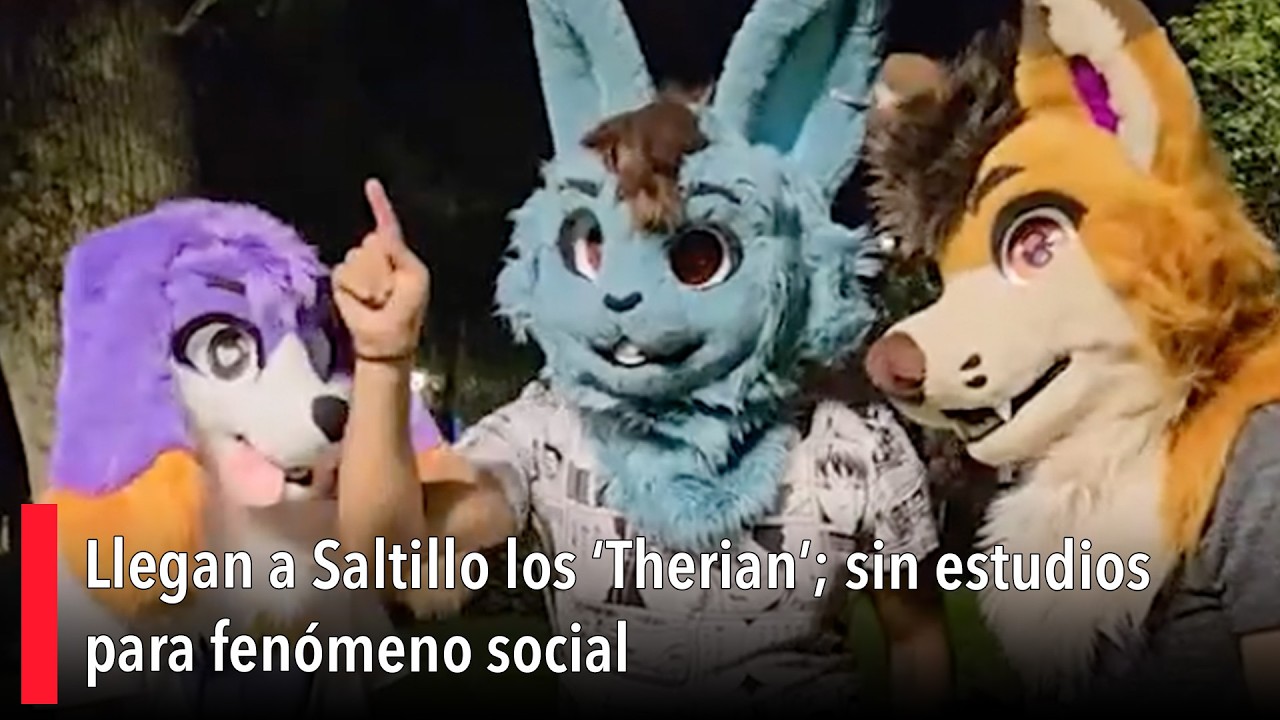 Llegan a Saltillo los ‘Therian’; sin estudios para fenómeno social
