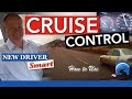 How to Use Your Vehicle's Cruise Control & Avoid Distracted Driving