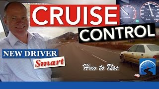 How to Use Your Vehicle's Cruise Control & Avoid Distracted Driving