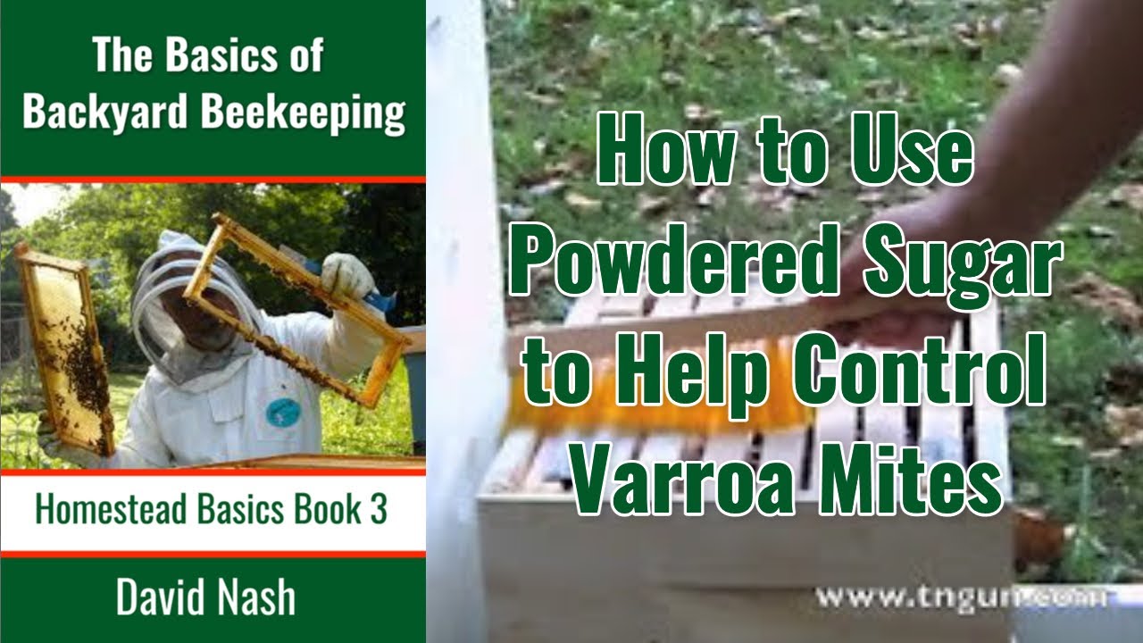 How to Use Powdered Sugar to Control Varoa Mites YouTube