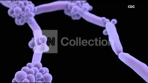 FILE-SUPERBUG-HOW LONG DID FDA KNOW?