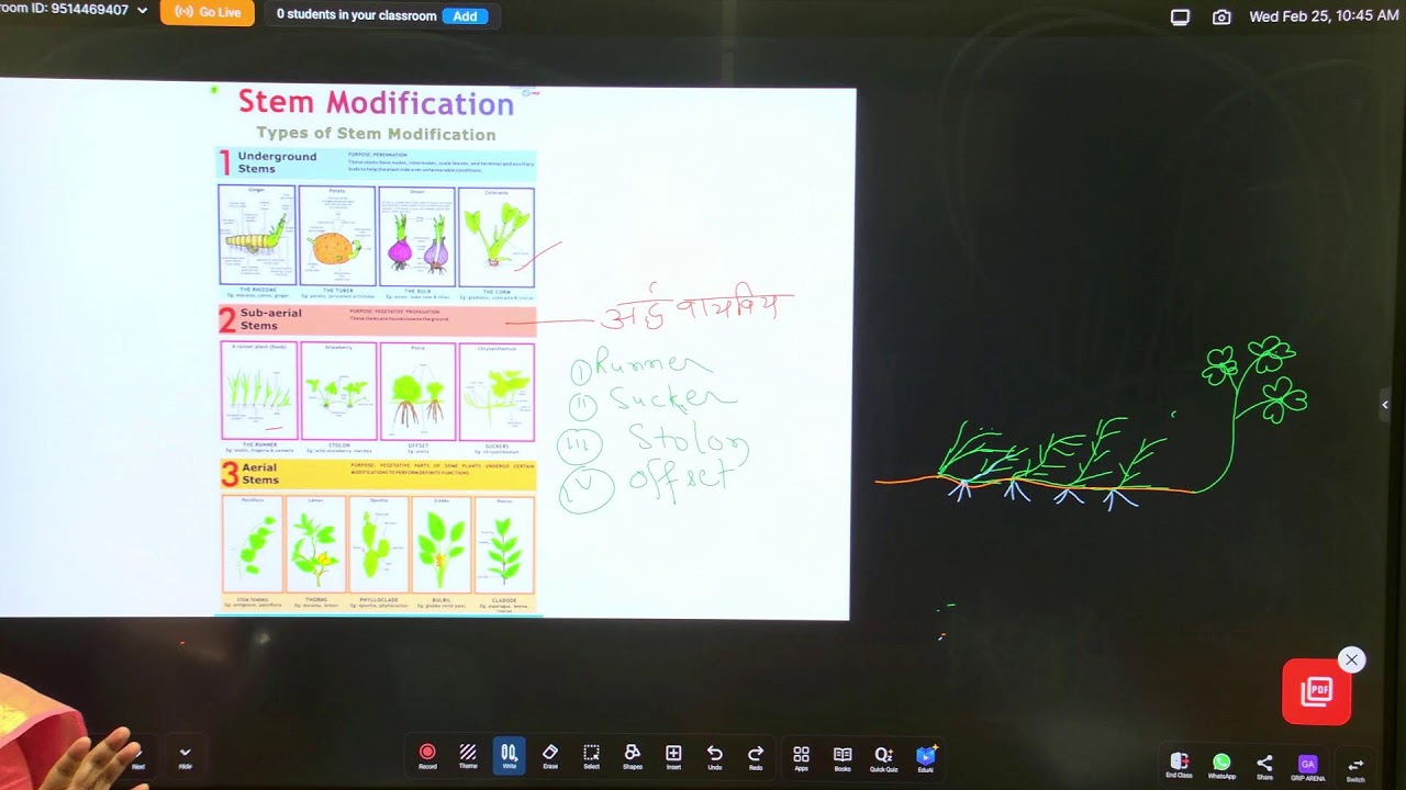 BSEB Class 12 | BIOLOGY | Natural vegetative propagation | 12th TOPPERS LEAGUE 2027 | Grip Arena