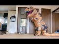 自分の部屋にゴジラがいた時のブルドッグのリアクションが200点すぎましたｗ