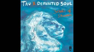 TAU (BW), Demented Soul - Souls Of Shaam