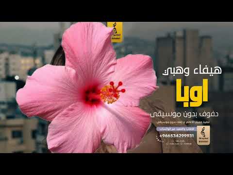 اوبا بدون موسيقى دفوف هيفاء وهبي اغاني بدون موسيقى دف