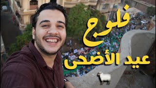 مصلى العيد بقرية ميت يزيد بهجة وفرحة لا توصف | فلوج العيد