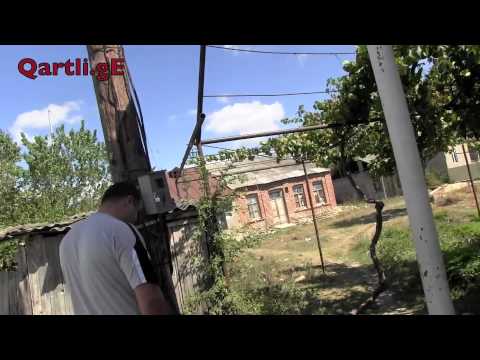 ,,5\" იანები დვანის საკრებულოში