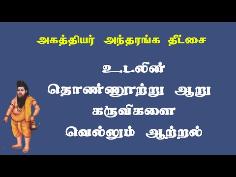 அகத்தியர்தீட்சை.32- உலக மாயை கடக்க!