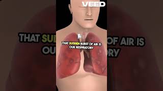 Why do we sneeze?