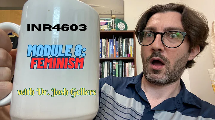 INR4603: Module 8- Feminism