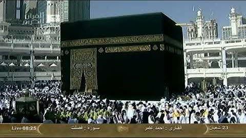 تلاوة مباركة للشيخ أحمد عامر سورة الشورى
