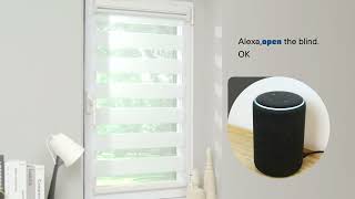 Grandekor M Series Motorized Smart Dual Shades—【How it works】 screenshot 3