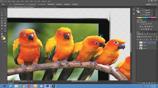 Bird Tv 3d Edit Photo | Tutorials 8051 screenshot 2