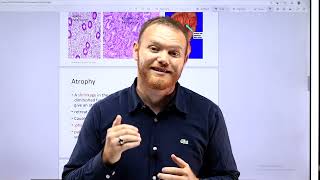 BAU General Pathology LEC 2