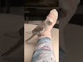 learning to sing #cockatiel #sing #dance #music #donut