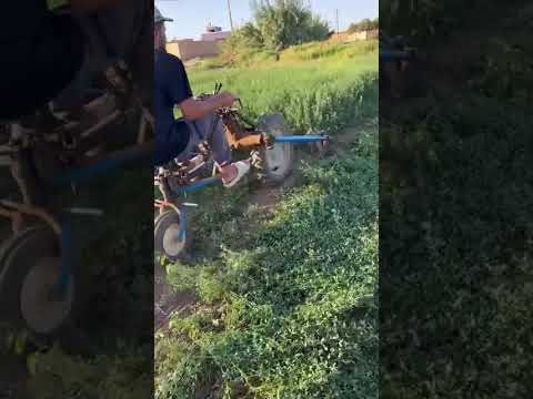 آلة حصاد البرسيم الحجازي