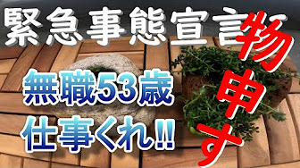 えかぴょん丸放送 Youtube えかぴょん丸放送 Youtube