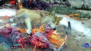 God of War Ragnarok  - Atreus Spartan Rage Gameplay (Wolf Transformation) PS5