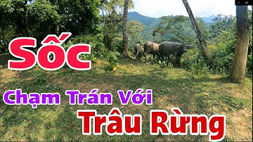 Ký Sự Rừng Pác Là,Hà Giang | Tập 3 (Tập Cuối)