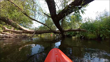 Беларусь. Сплав по реке Птичь | The Ptsich river trip 2023