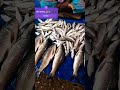গ্রাম বাংলার হাট #বাজার দেশে#fish প্রজাতি নানান ধরনের মাছ #ytshorts🇧🇩