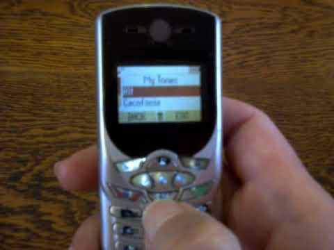 Video: Hvordan installere en ekstra telefonkontakt: 13 trinn (med bilder)
