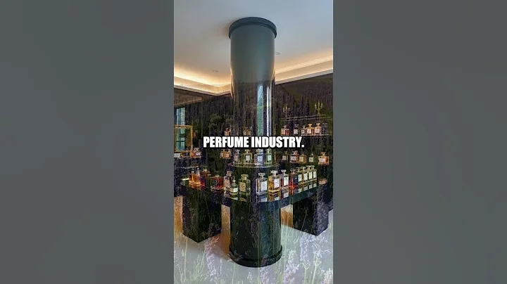 Inside the Life of a High-End Perfume Collector, Isabelle Romano