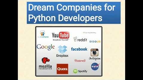Top Companies for Python Developers