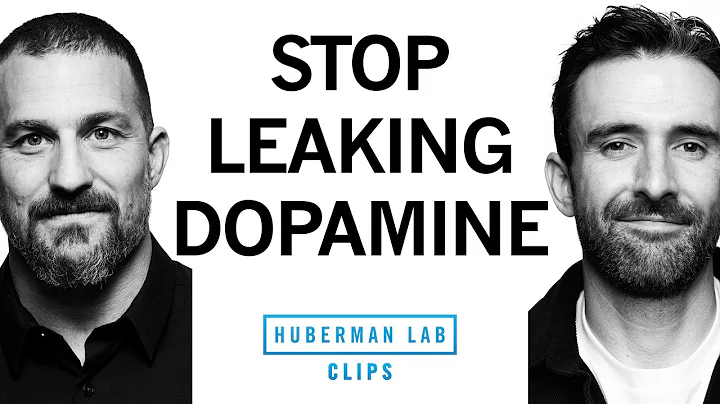 How to Invest Dopamine for Motivation & Drive | Michael Easter & Dr. Andrew Huberman