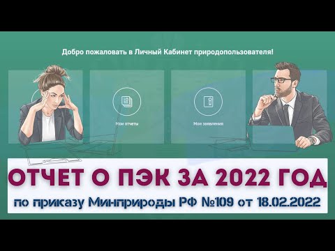Отчет о ПЭК за 2022 год по приказу Минприроды РФ №109 от 18.02.2022