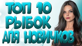 Самые неприхотливые рыбки для первого аквариума. топ 10 неприхотливых рыбок в ваш аквариум