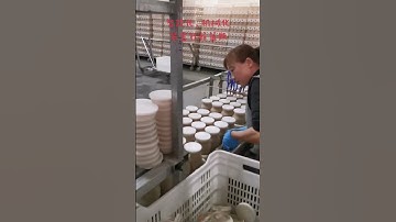 Enoki mushroom bottle filling line King Oyster Mushroom growing equipment enoki production line