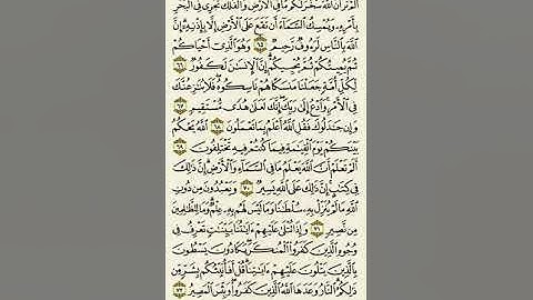 سورة الحج من الآية ٦٥ إلى الآية ٧٢بصوت القارئ ماهر المعيقلي