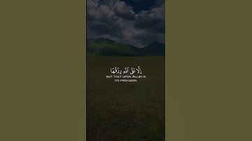 ومامن دابه في الأرض إلا على الله رزقها ويعلم مستقرها ومستودعها كل في كتاب مبين |سورة هود| بدر التركي