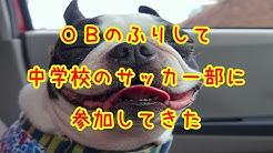 2ちゃんねる 笑える話 長編 短編 妄想系 2ch Youtube