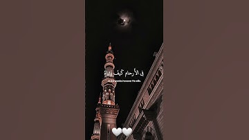 إِنَّ اللَّهَ لَا يَخْفَىٰ عَلَيْهِ شَيْءٌ ✨️القارئ عبد الرحمن مسعد
