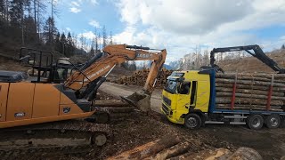 Teamarbeit - Ponsse Bear - MS 462 - Case CX 230D - Komatsu 875