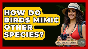 How Do Birds Mimic Other Species? - Bird Watching Diaries