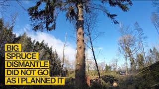 My first big spruce dismantle did not go according to plan.
