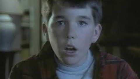 Donkey Kong Country 3: Dixie Kong