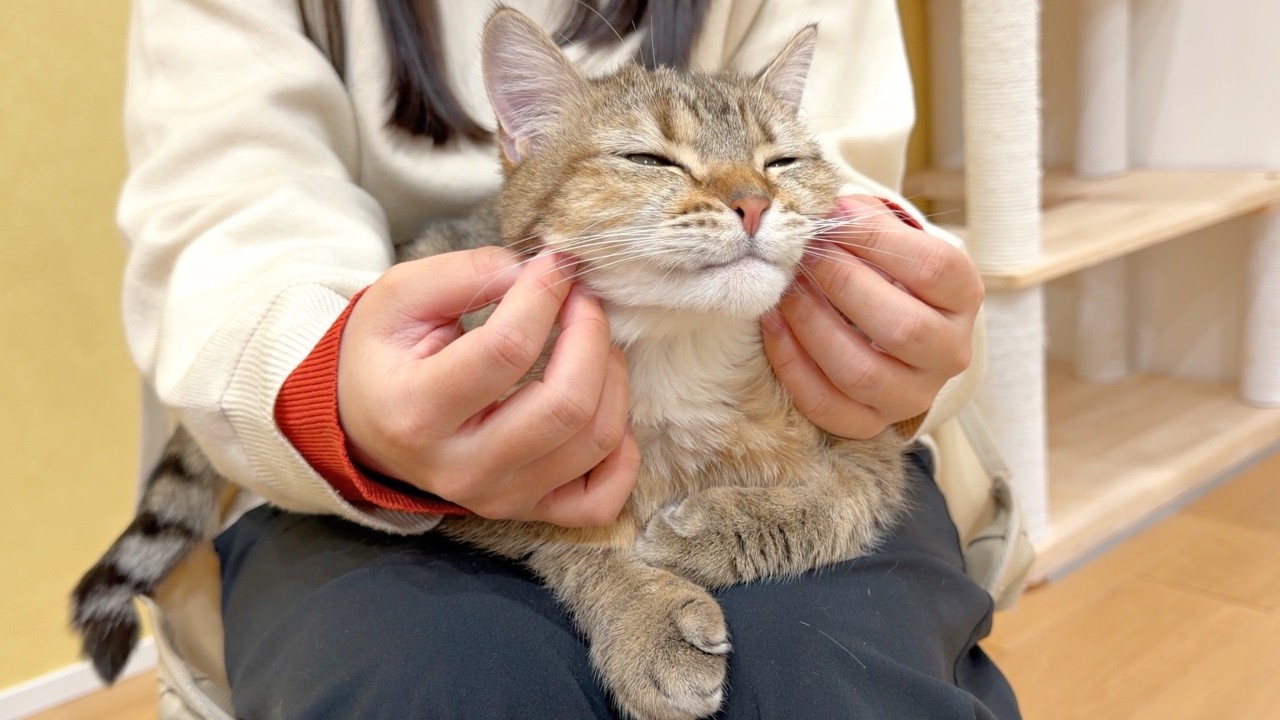 We Had You Worried — But Shima Is Doing Just Fine! - YouTube