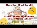 😁 🥳 Pinocho - Carlo Collodi ( Audiolibro COMPLETO - PARTE 02 ) &quot; Voz Real Humana &quot; 🥳 😁