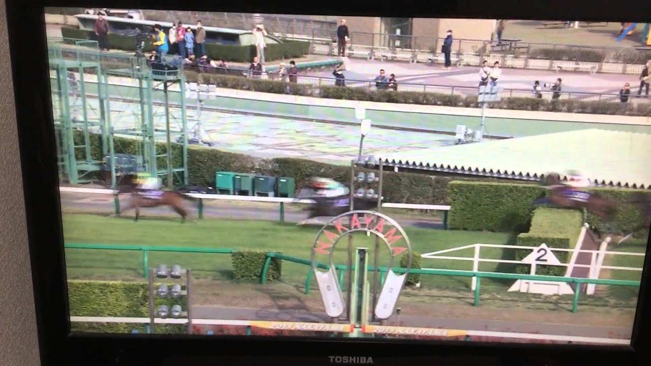 中山グランドジャンプ - YouTube