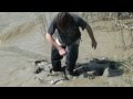 my first time with waders in sticky mud  (part 3).mp4