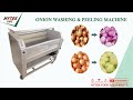 Onion peeling machine  onion washing  peeling machine onionpeelingmachine onionpeelermachine