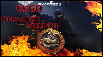 CS:GO - Operation Wildfire - New Case, Maps, Bowie Knife + More! [HD]
