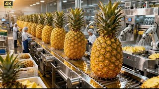 INSIDE a Pineapple Juice Factory – From Fresh Pineapples to Premium Juice (Full Process)