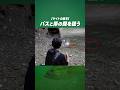 【バス釣り】バスと岸の“間”を狙うと… #赤松健 #issei