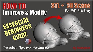 Essential Guide To Start Editing Your STL & 3D SCAN Models 👉 For 3D Printing