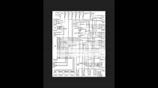 Player Profile 2000 BMW E46 radio wiring diagram.